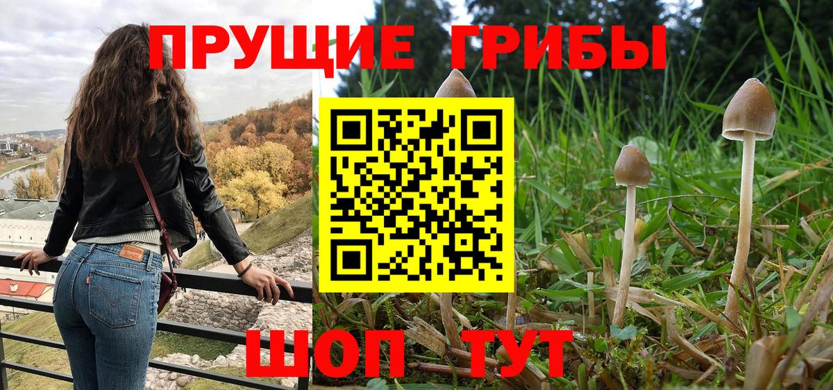 Псилоцибиновые грибы GOLDEN TEACHER Белогорск
